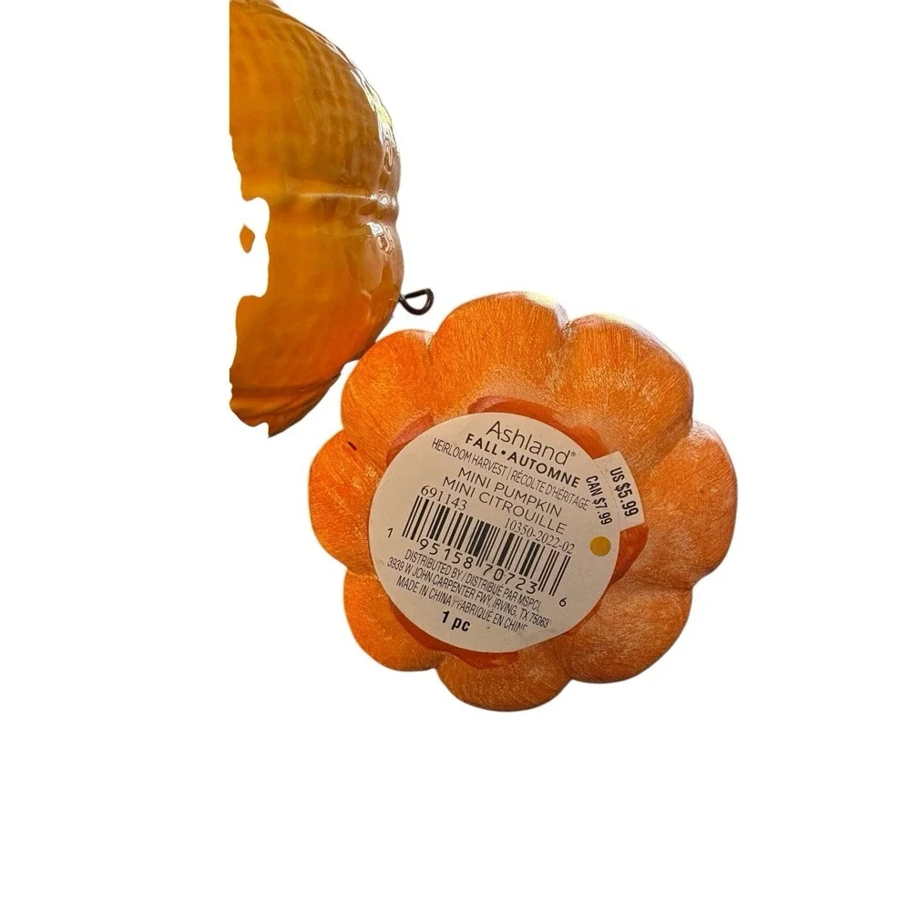 Ashland‎ Fall Mini Pumpkin Decor Set Ceramic Autumn Harvest